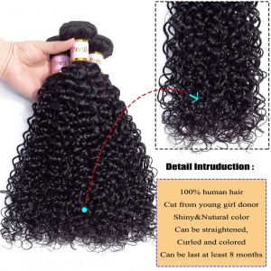 Kinky Curly Bundles With Closure Human Hair