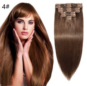 Flip In Hair Extension