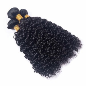 Kinky Curly Bundles With Closure Human Hair