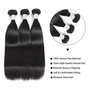 Straight Bundles With Closure Human Hair